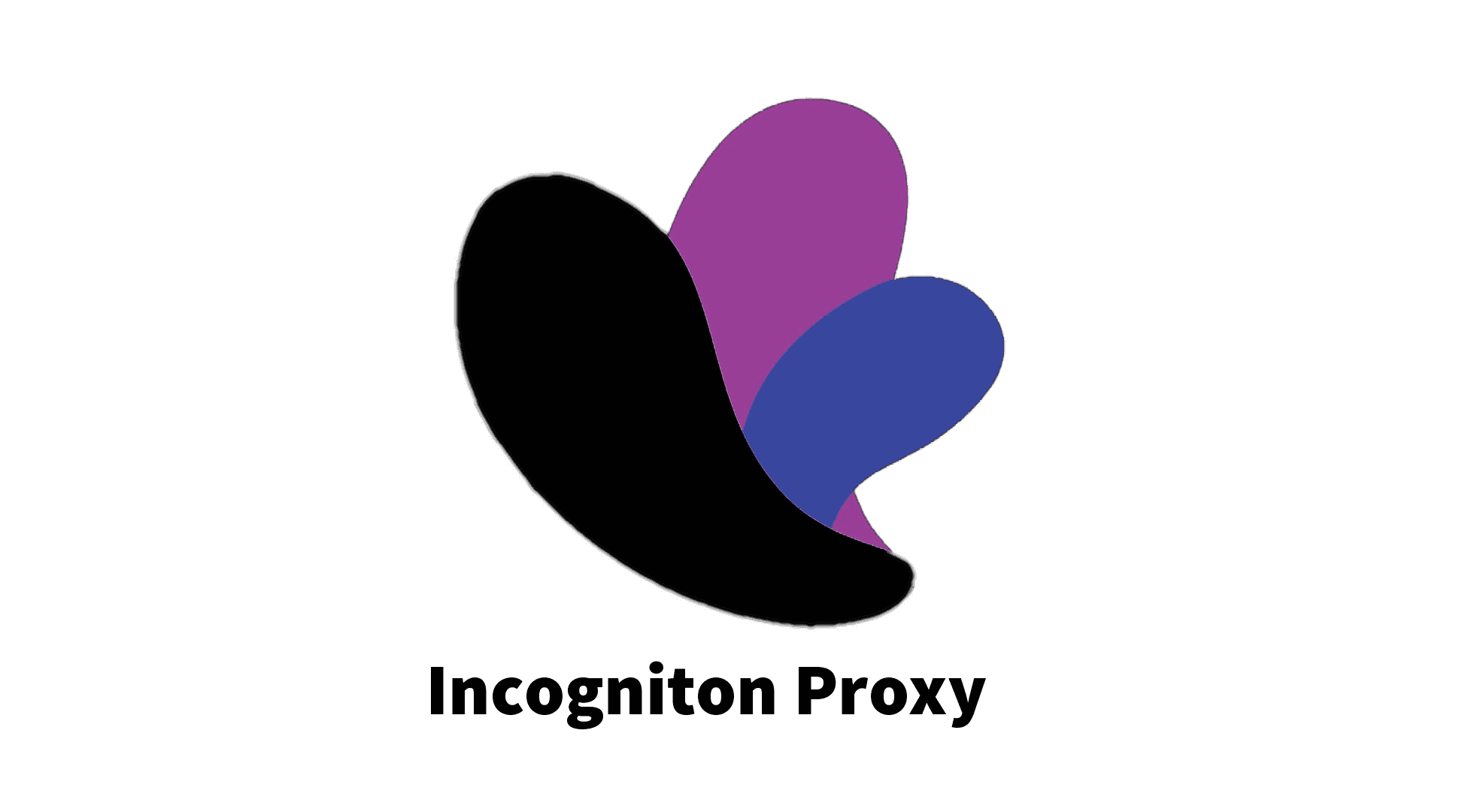 Integrate Incogniton Browser With MoMo Proxy