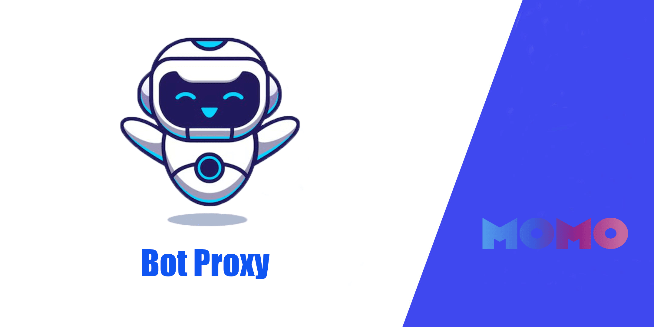 bot proxy