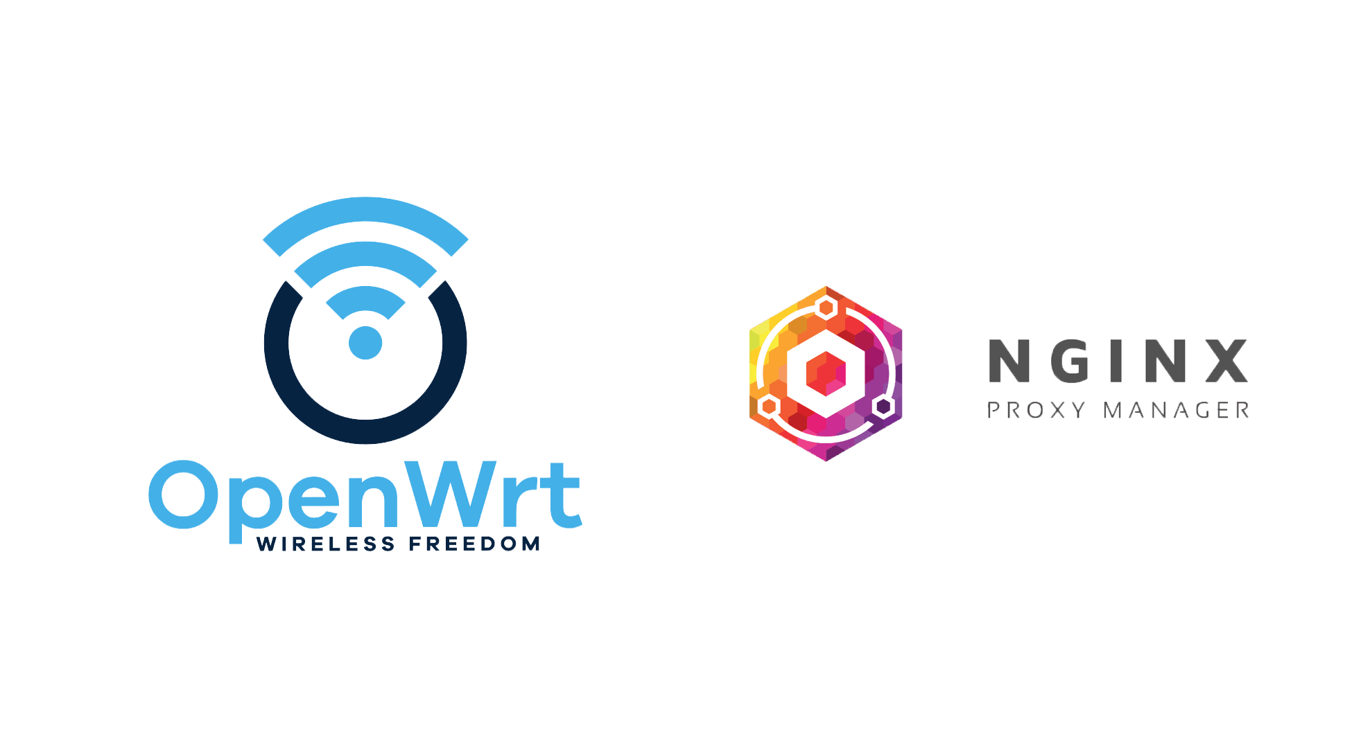 nginx proxy manager配置openwrt