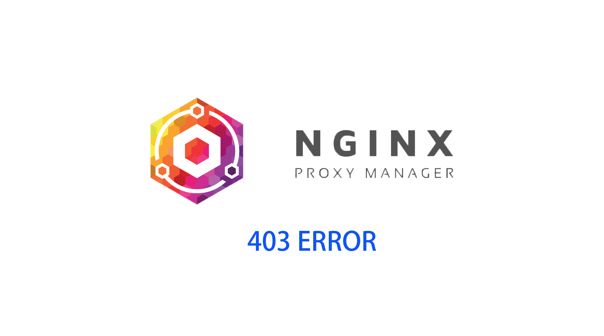 403 Forbidden Error Nginx Proxy Manager