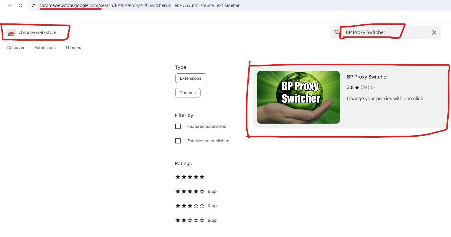 search bp proxy switcher in chrome web store