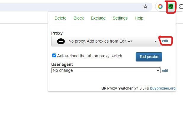 proxy settings in bpproxy switcher