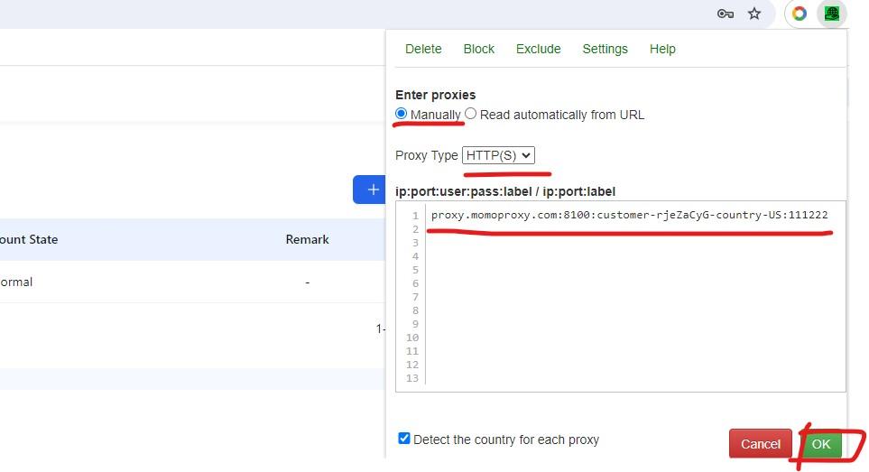 paste proxy and click ok