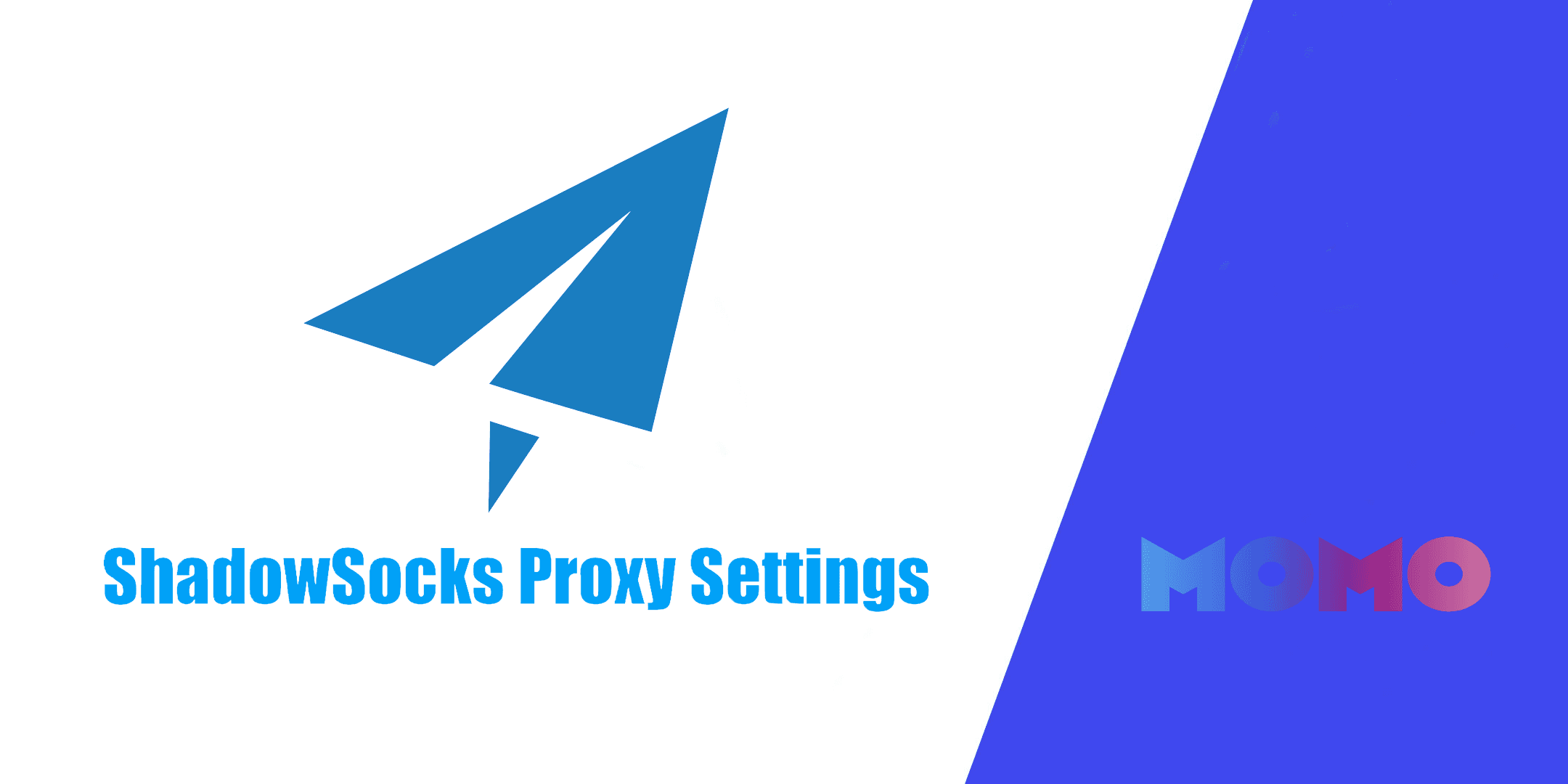 shadowsocks proxy settings