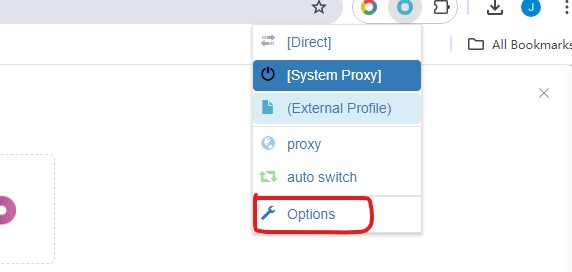 click options to setup proxy