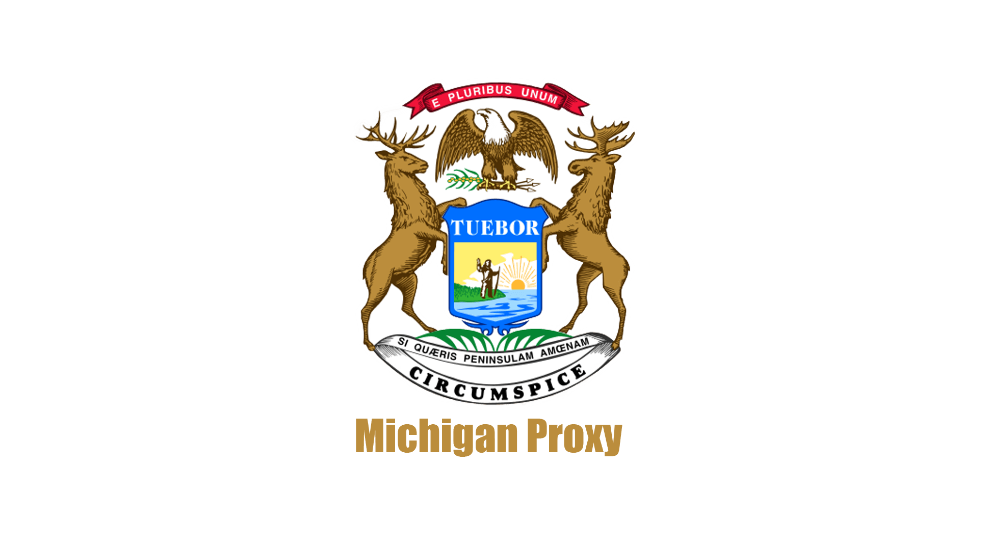 Michigan Socks 5 Proxies: Feature, Detailed Cities, Free VS Paid Proxy