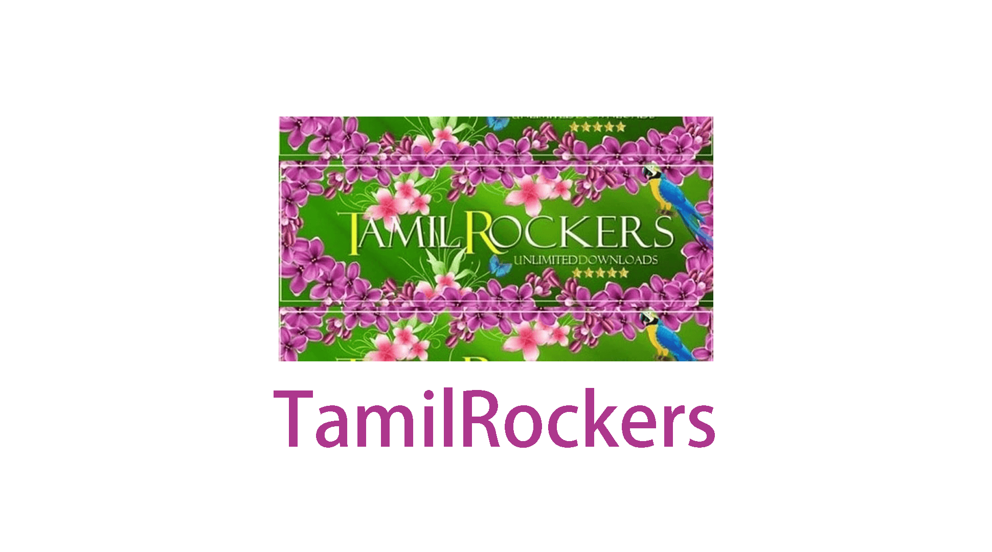 Tamilrockers Proxy: How to Unblock TamilRockers In 2025