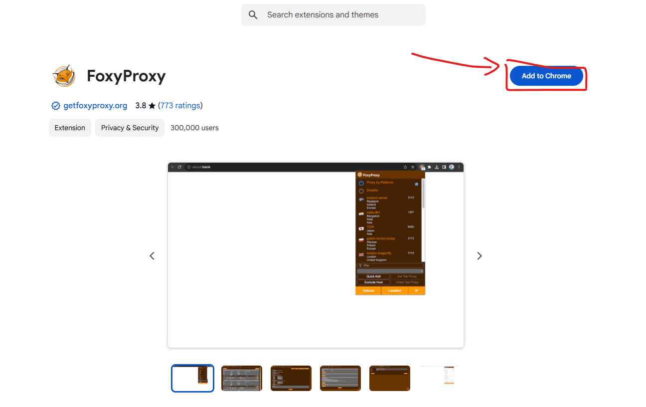 Add to chrome for foxyproxy extension