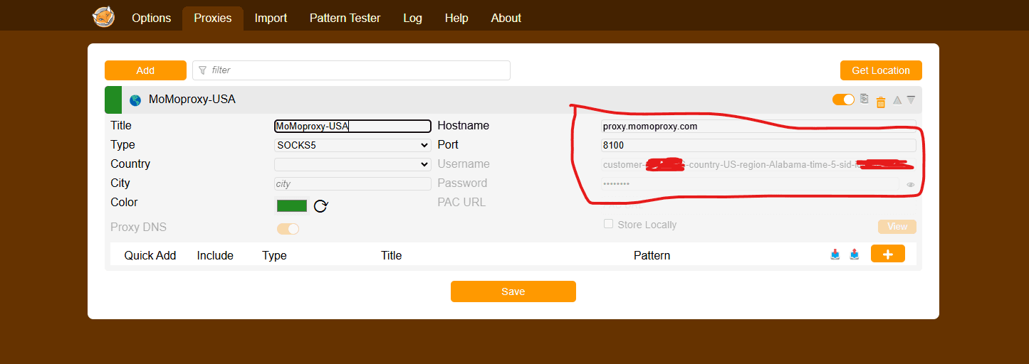 paste ip information into proxies settings