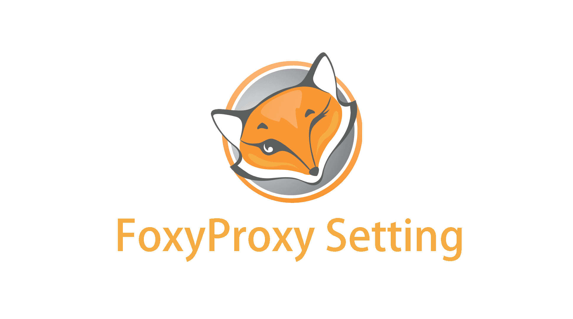 foxyproxy settings