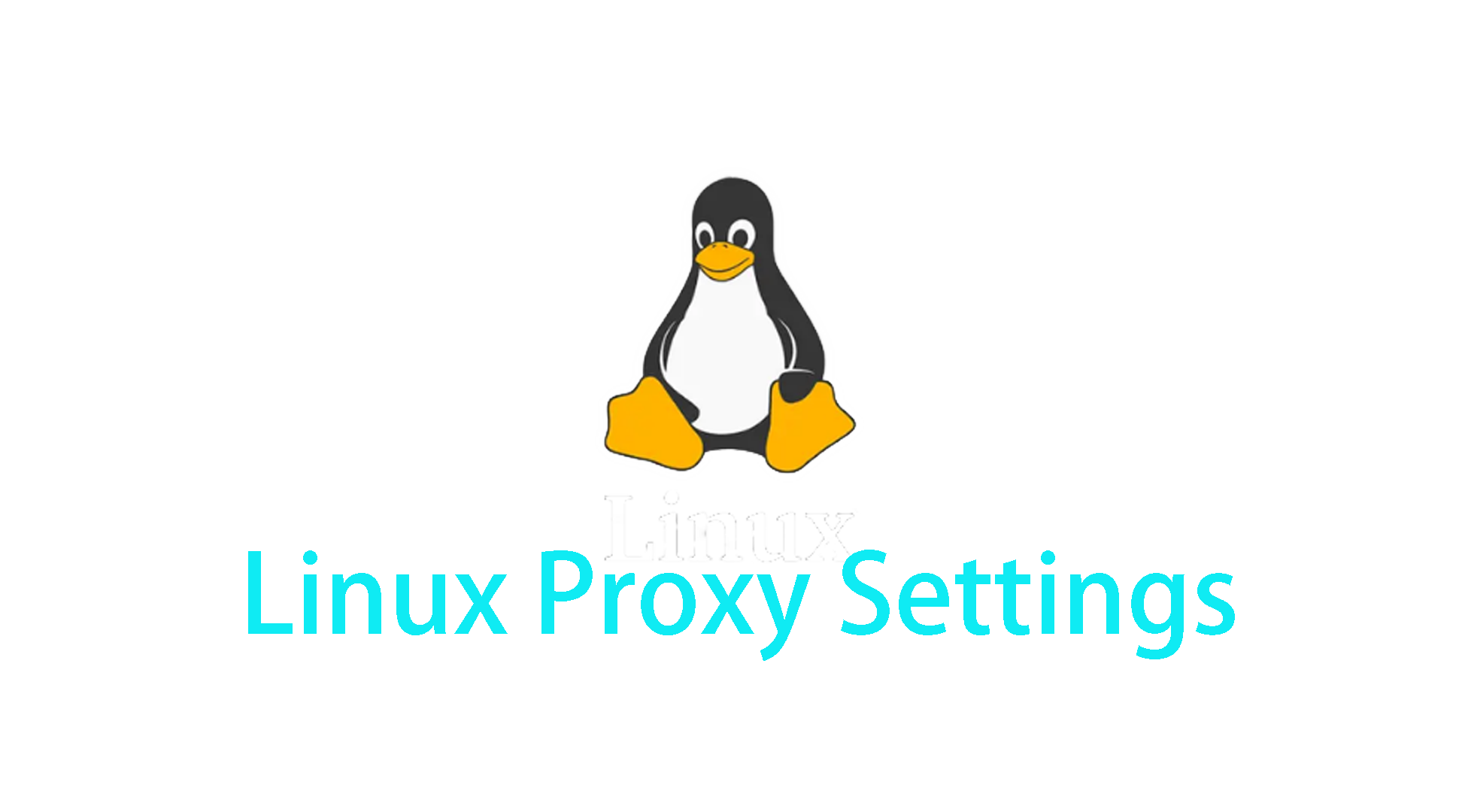 Linux SOCKS5 Proxy Setup: Export and Configure